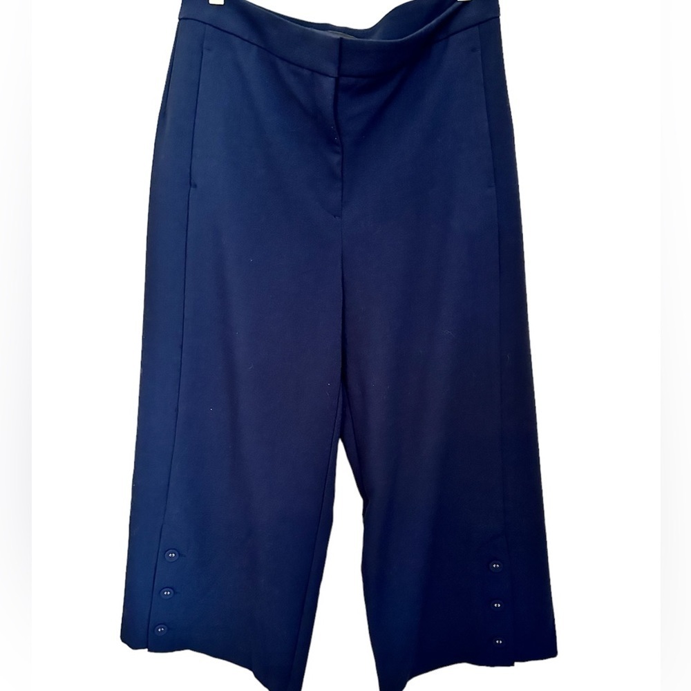 EUC Ann Taylor Pants